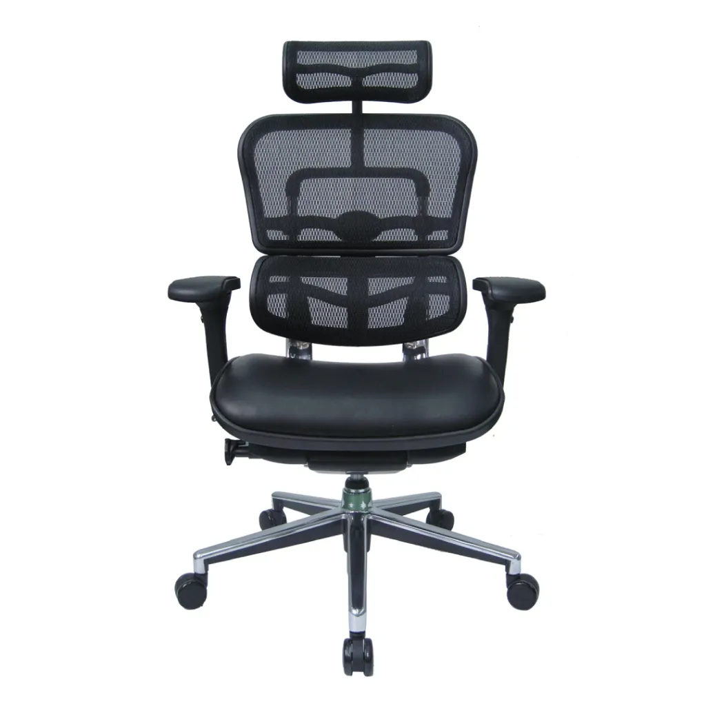Ergo human Classic-02.webp