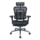 Ergo human Classic-02.webp