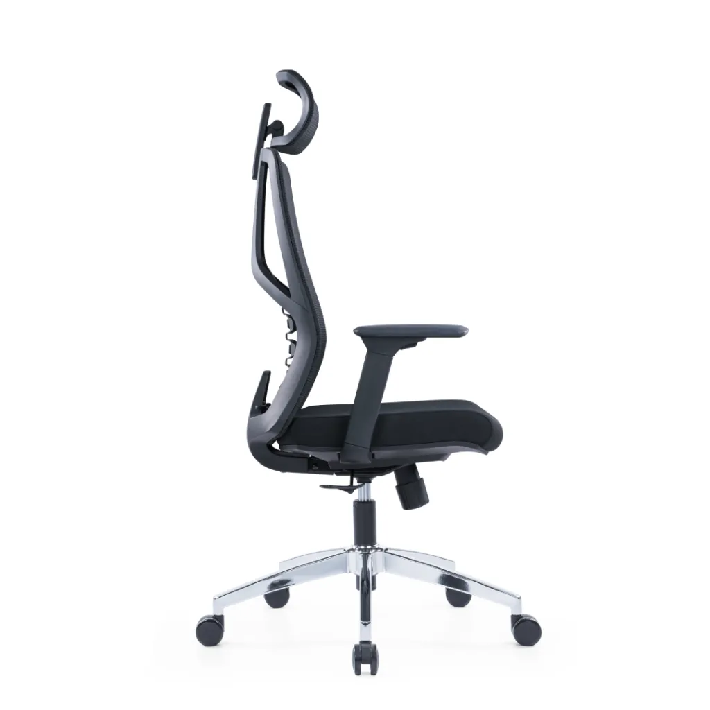 Spine HB-03.webp