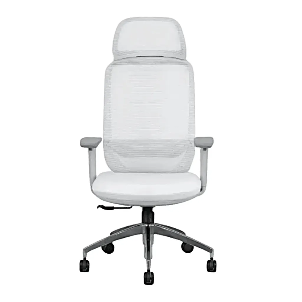 [AYX-101-GREY] Raven high back chair (White)