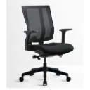 Promax mid back chair