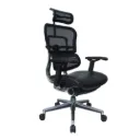 Ergohuman classic chair (Leather)