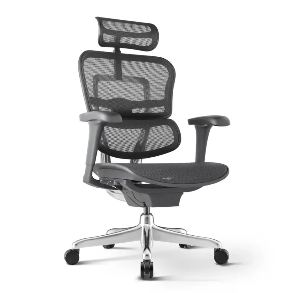 [AM-ERGOHUMAN-MM-HB] Ergohuman classic chair (Mesh) (High back)