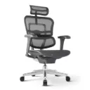 Ergohuman classic chair (Mesh)