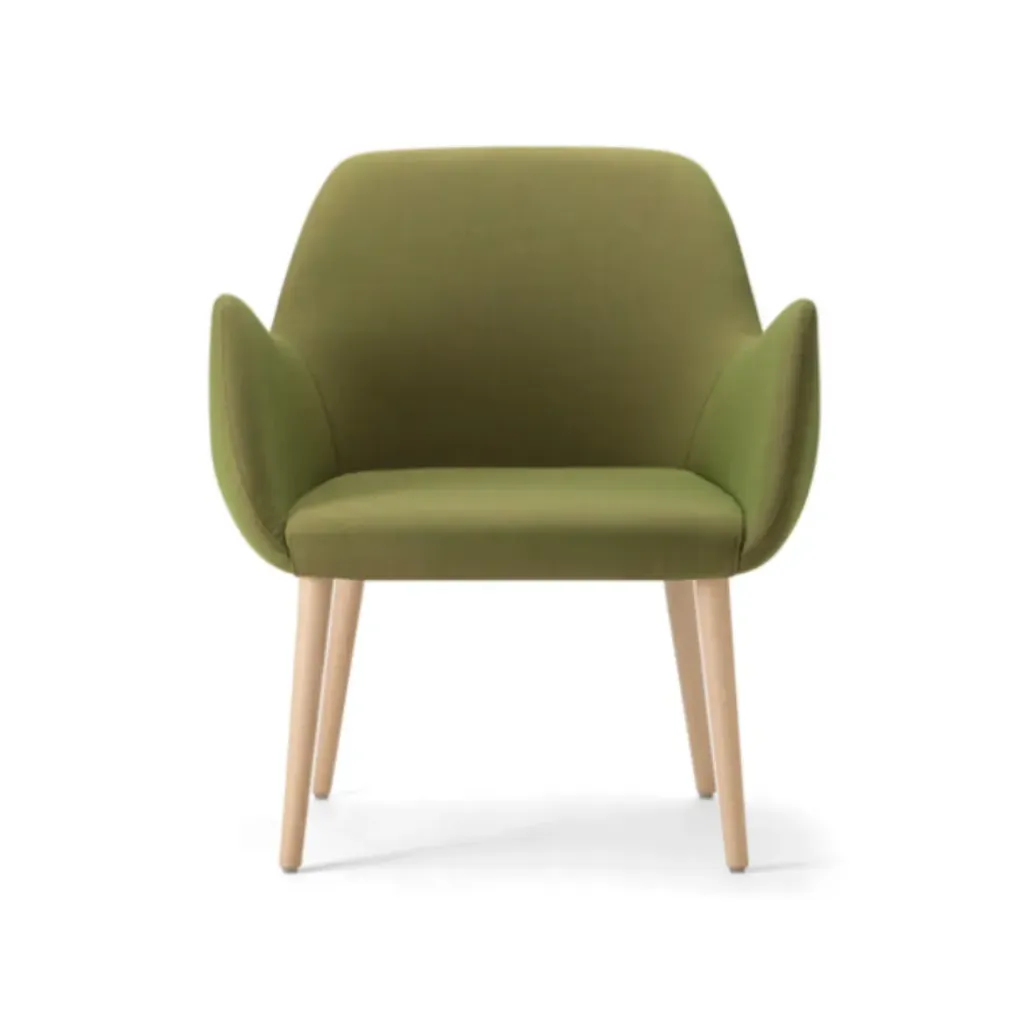 [ALBA-1S] Alba arm chair